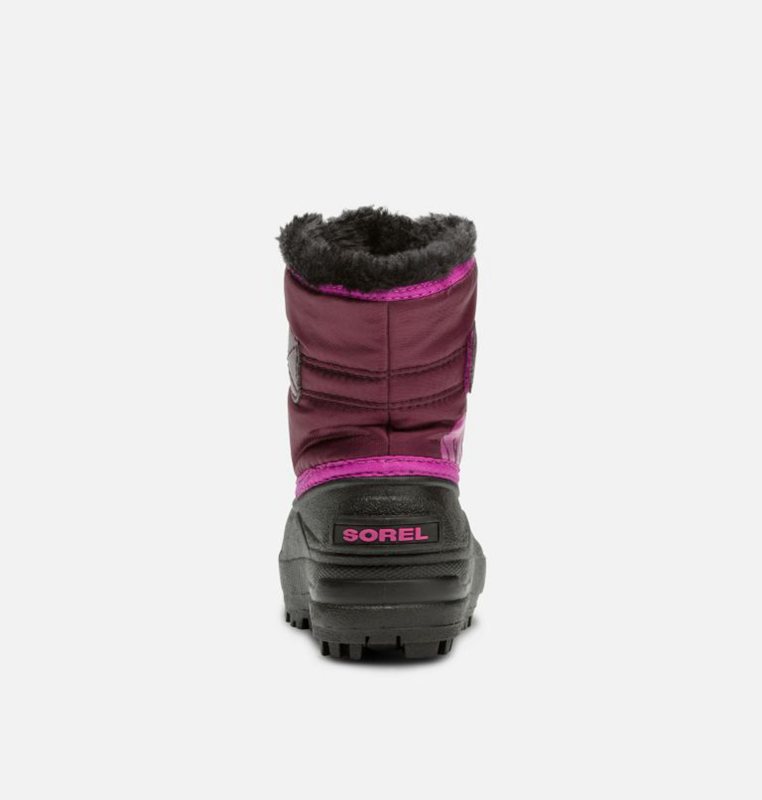 Sorel Barn Vinterkängor Lila/Rosa/Svarta - Toddler Commander™ - WCS-084973